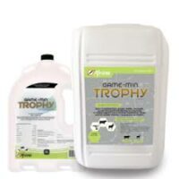 Game-Min Trophy