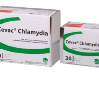 Ceva Chlamydia 50D